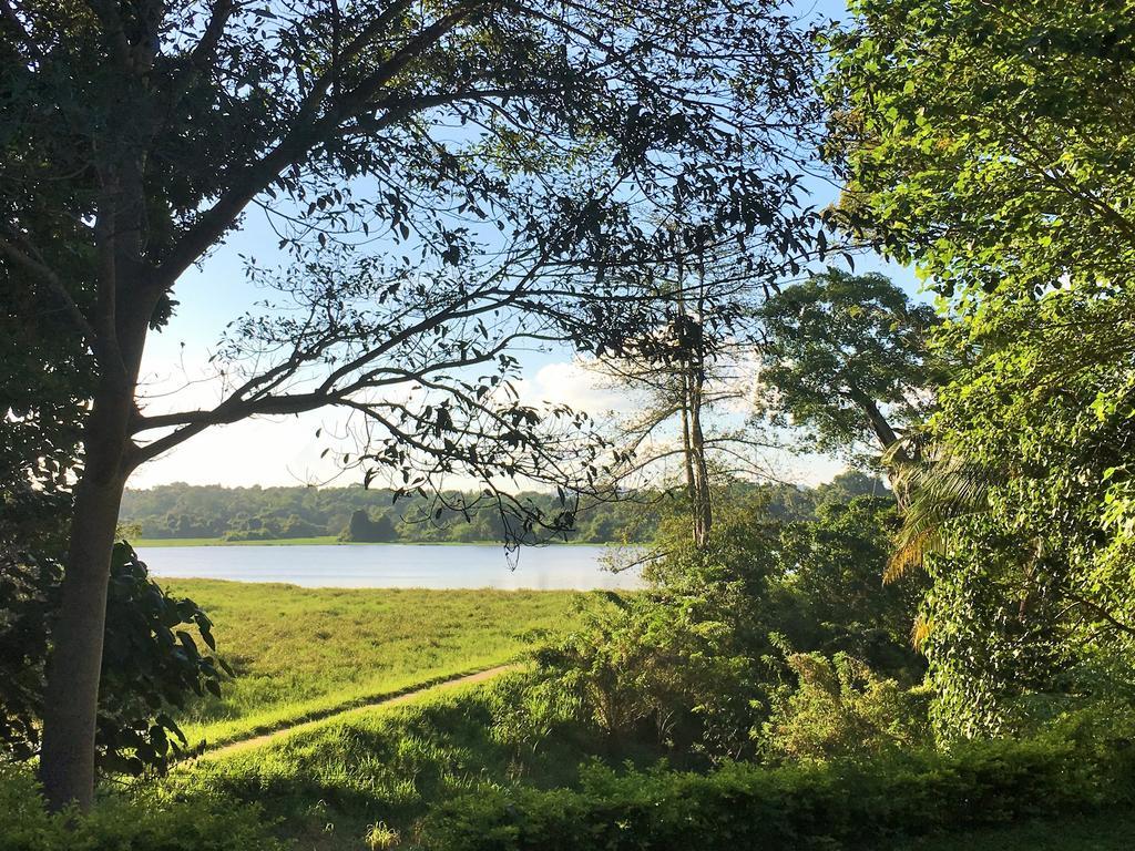 Blue Lake Ridge Maha Oya Exterior foto